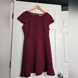 She & Sky fitted Burgundy dress